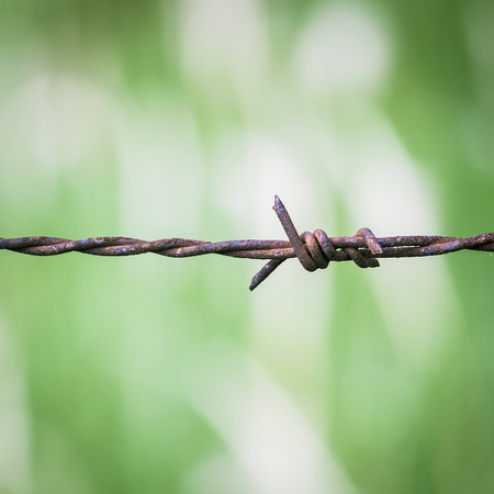 Barbed wire fenceの写真素材