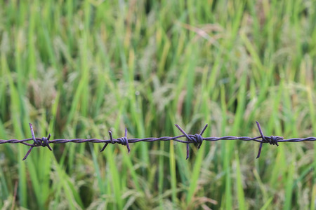 Barbed wire fenceの写真素材