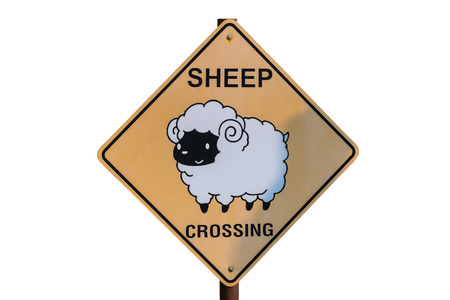 Sheep Crossing sign on ranch On a white backgroundの写真素材