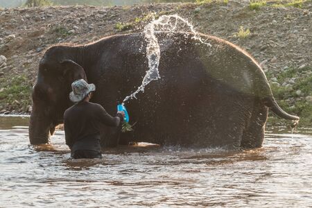 Mahout elephant bathing in the river.の写真素材