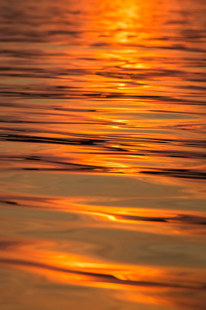 Waving water surface of the river background.の写真素材