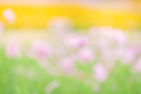 Abstract blurred beautiful nature background.の写真素材