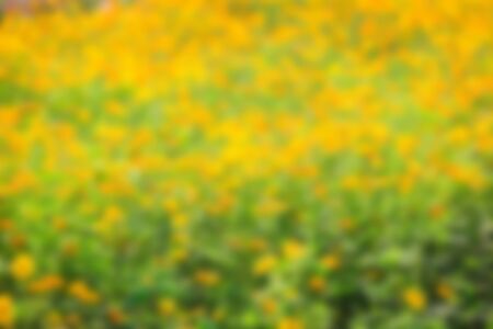 Abstract blurred beautiful nature background.の写真素材