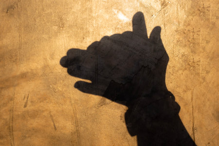 Hand shadow silhouette: A creative hand shadow cast against a textured surface, creating a playful and imaginative visual experience.の写真素材