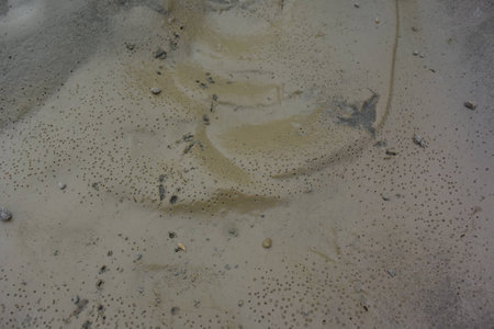 sand