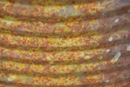 Rustyの写真素材