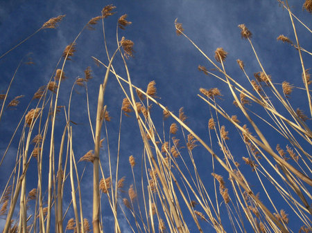 look up to the skyの写真素材
