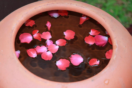 a big pot of water with floating rose padles in a Thai traditoinal ceremonyの写真素材