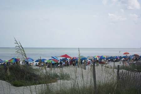 crowded at the beach , many umbrellasのeditorial素材