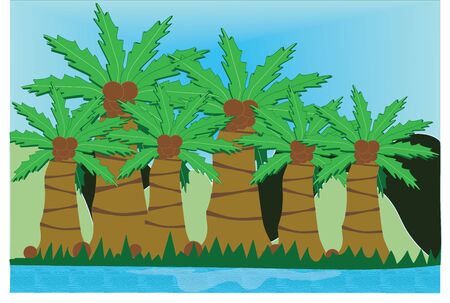 coconut trees illustration.のイラスト素材