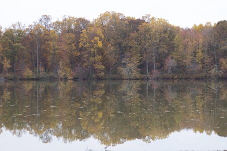 autumn color leaves trees in the parkの写真素材