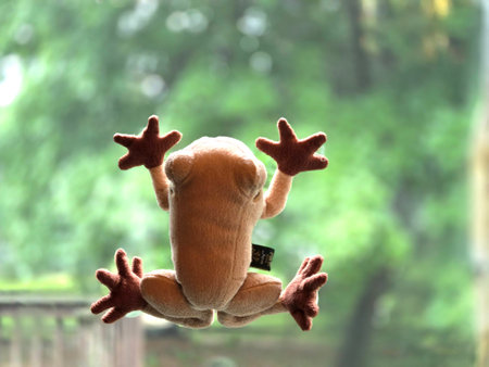 Frog toy on the background of the green forest. The concept of ecology.の写真素材