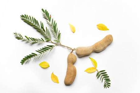 Sweet tamarind fruit popular now.In Thailand.の写真素材