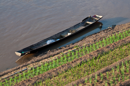 boat in Mekong River in thailandの写真素材