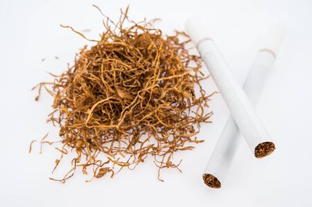 cigarette on a white background isolatedの写真素材