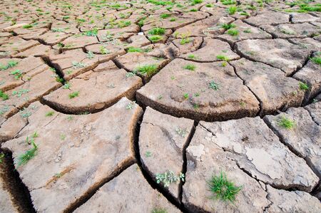 Dried and cracked soil on sunsetの写真素材