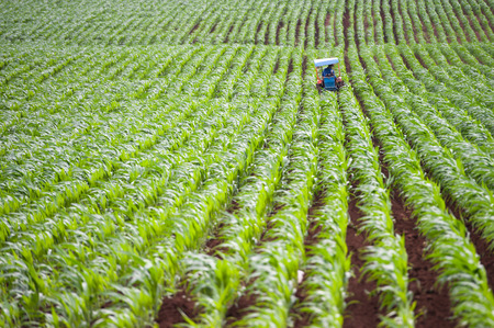 Small scale tractor in farmingの写真素材