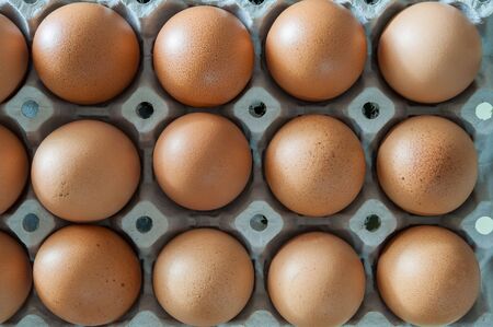 Eggs in panel, Close up