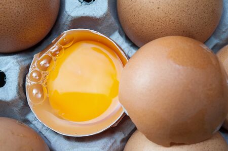 Eggs in panel, Close upの写真素材