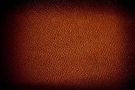 leather texture background / leather texture