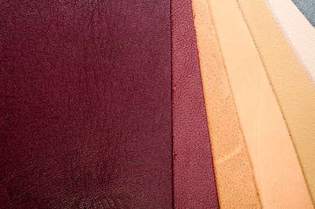 leather texture background / leather texture