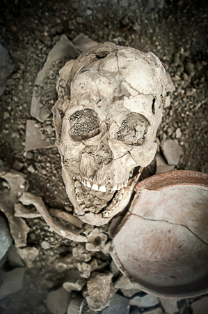 exploration of ancient human skeletonの写真素材