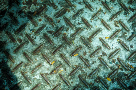 metal texture background / metal textureの写真素材