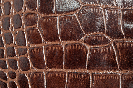 leather texture background / leather texture