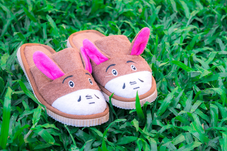 animal house slippers on lawn grassの写真素材