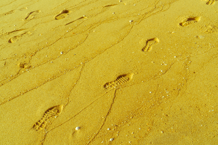 Many shoe prints on the golden sands.の写真素材
