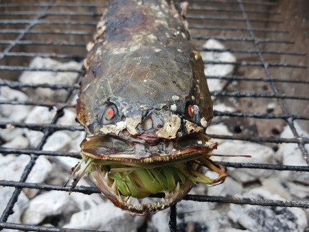 Salt fish is burning on the stove.の写真素材