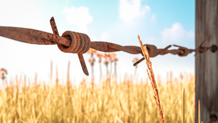 Old and rusty barbed wire 3D render on background of golden rice With color affect vintage style.の写真素材