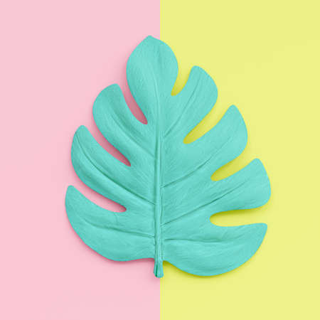 Green leave and copy space on pink and yellow background, top view. concept pastel color,3D render.の写真素材