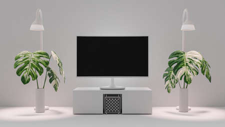 Television screen on the shelf. with two variegated trees in  white room. Monitor Mock-Up for your text or banner. minimal idea concept, 3d Render.の写真素材