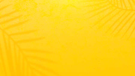 Yellow cement wall. Shadow from tree on cement floor. Minimal Background concept, 3D Render.の写真素材