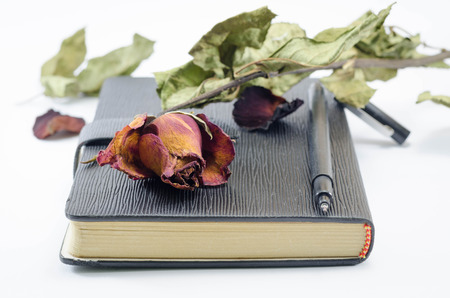 Dried red rose and leaf on notebook white backgroundの写真素材
