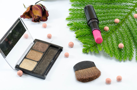 Set of decorative cosmetics on green leaves and dried red roseの写真素材