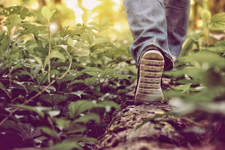 sneakers with pants gene. It can walk in the forest Be active Close to nature