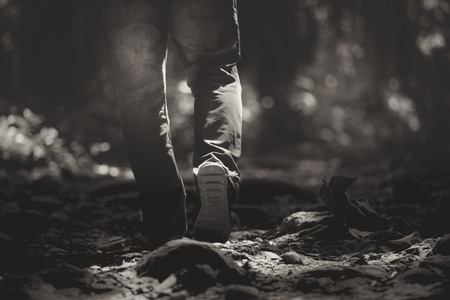 sneakers with pants gene. It can walk in the forest Be active Close to natureの写真素材