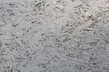 Wall wood.の写真素材