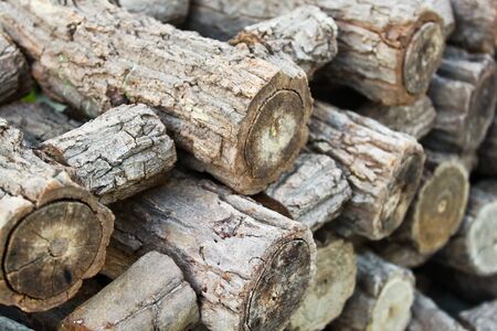 Logs of firewood in a nice stack, all piled up together.の写真素材
