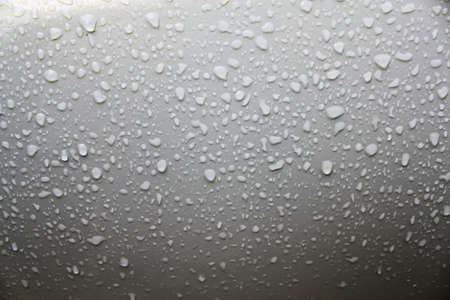 Water drop on white background. Water drops texture.の写真素材