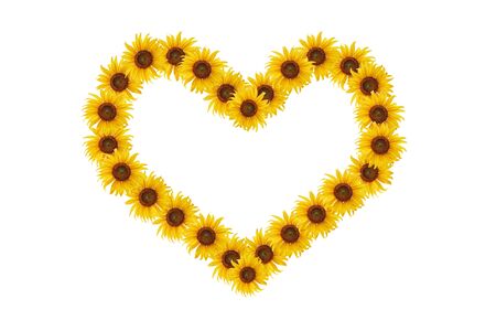 Heart with sunflowers for your design, isolated on white background.の写真素材