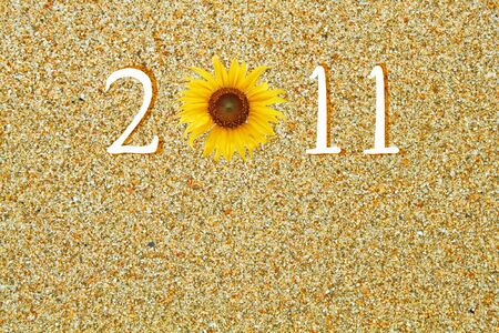 a shot from a sand, year 2011, can be use as background.