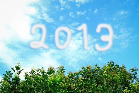 happy new year 2013 white cloud and blue sky, tree greenの写真素材