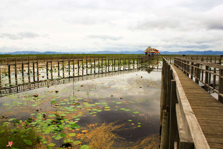 The entrance go to the lake  Wood bridgeの写真素材