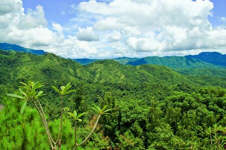 Mountains with forest and blue sky with cloudsの写真素材