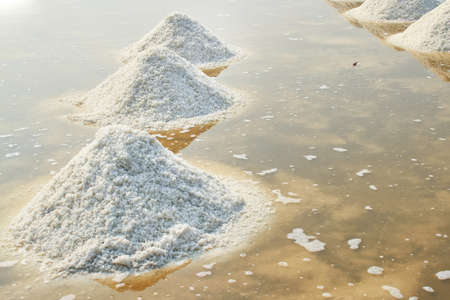 The salt in a row at the saline の写真素材