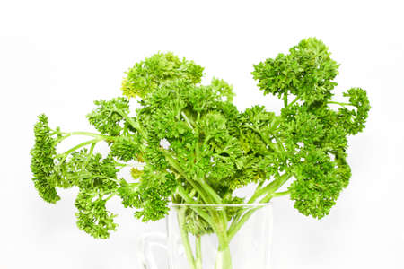 fresh vegetable green leaves in the glass の写真素材