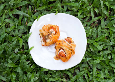 Two pieces portion of appetizing homemade baked pastry on white plate over green grass の写真素材